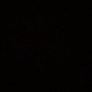 Meet your Posher, Gavin